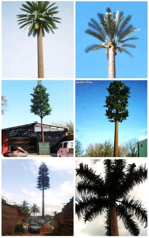 หอคอย Pine Tree ปลอมตัวสำหรับการกระจายสัญญาณ